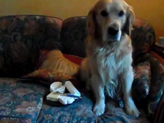 diamond devant le plateau de fromage