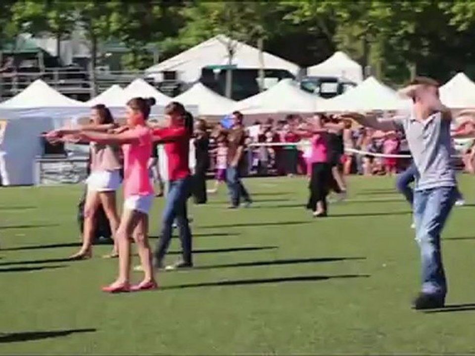 Flash mob   ART CADANSE