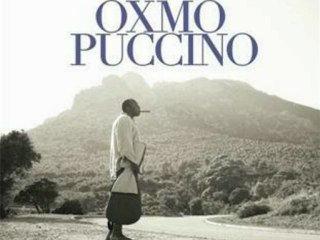 Oxmo puccino - parfois