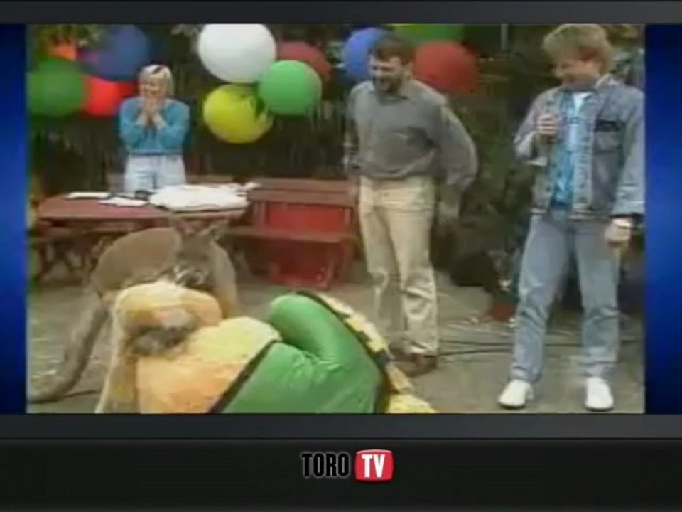 Animal Attacks