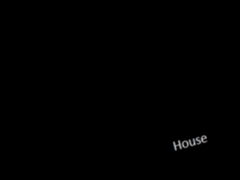 Bloody Beetroots - It_s a better dj on 2 turntables (raphael Fevre Rmx)