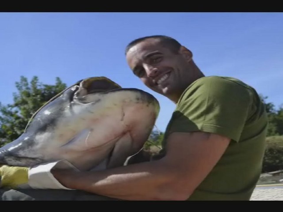Silure de 203 cm - Premier poisson pour Alexis !