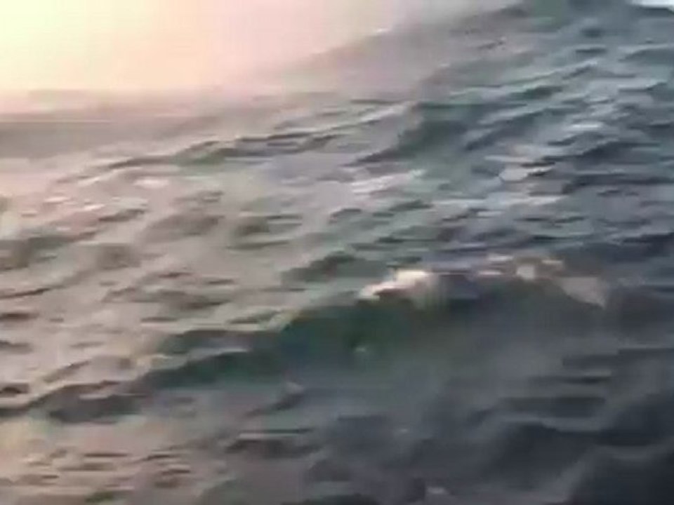 BIG WAVE AWARDS 2010/11 BIGGEST SLAB NOMINEE Chris Shanahan