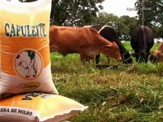 Agro Mais do dia 21-09-2012