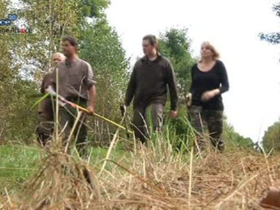 Alsace: les chiffres de la chasse