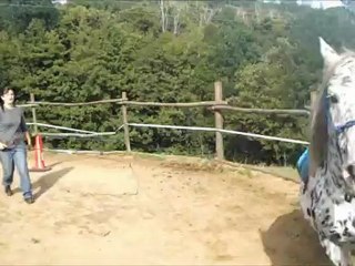 Saut Kency avec le son