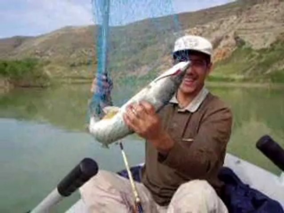 turna balığı açılışı