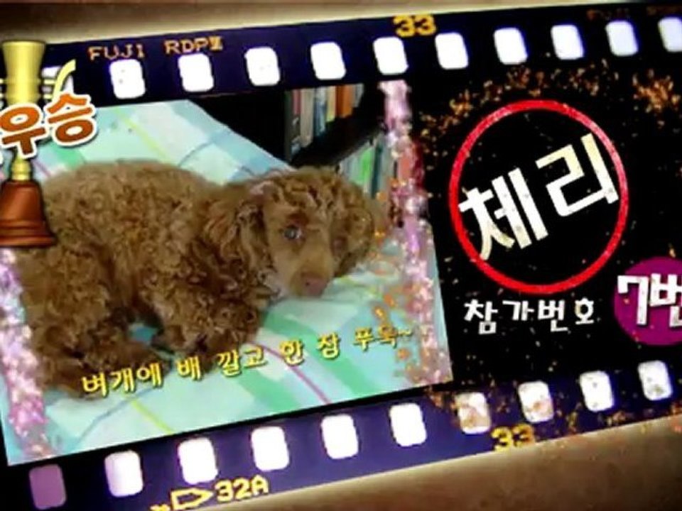 ALLTV-PETSHOW-WINNER.mp4