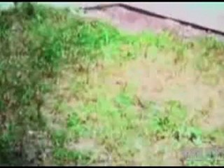 Qayamat Hi Qayamat (2012) Part 4 Watch Online @ Telly-Tv.Com