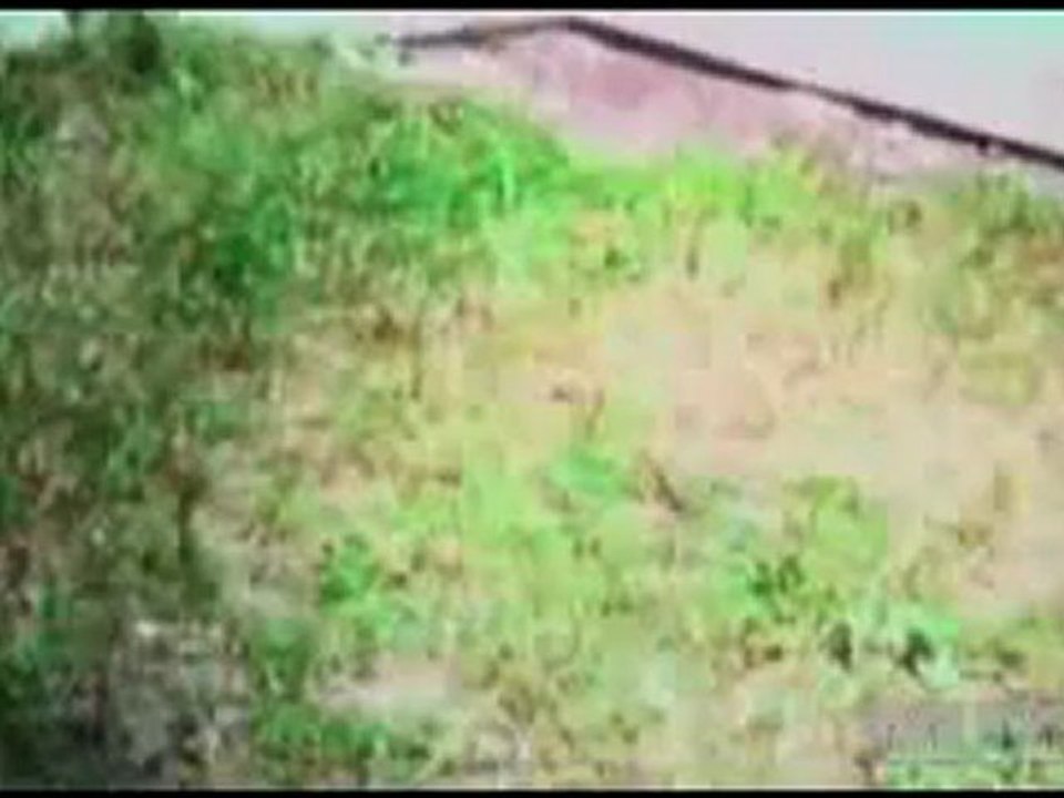 Qayamat Hi Qayamat (2012) Part 4 Watch Online @ Telly-Tv.Com