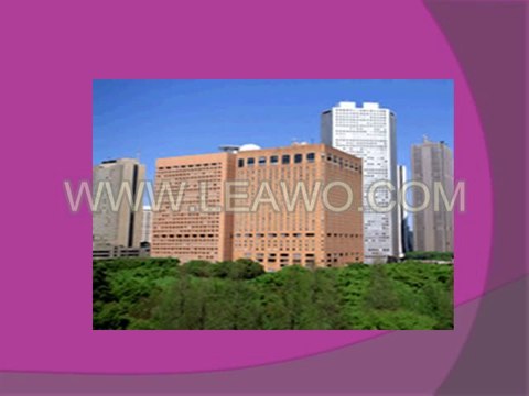 Company Profile - China Merchants Holdings Pacific Limited - Toll Road Operator