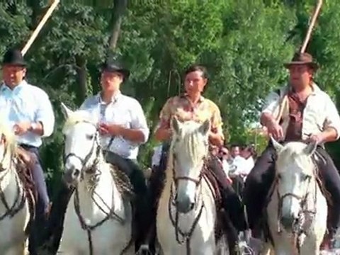 Saint Jean de Védas (Hérault) défilé de calèches, gardians et toro-piscine