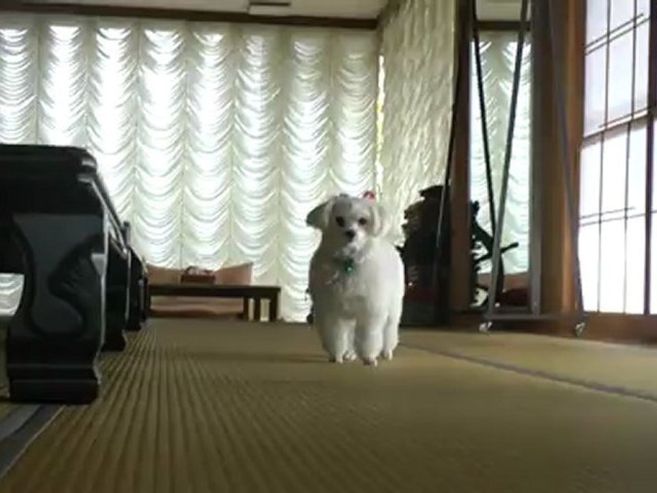 ふじちゃん