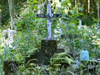 Globo Repórter 21-09-2012 Parte 4 Jóias da Mata Atlântica