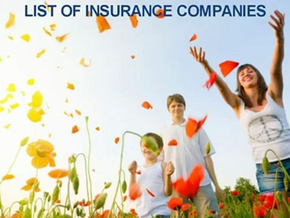 One_Call_USA_is_an_Insurance_Brokerage_that_Works_with_Several_Providers