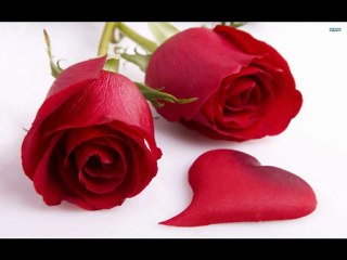 Bewafa Bewafa Ho Tum_Kumar Sanu