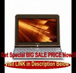 Toshiba Mini NB305-N440BN 10.1-Inch Netbook (Java Brown) REVIEW