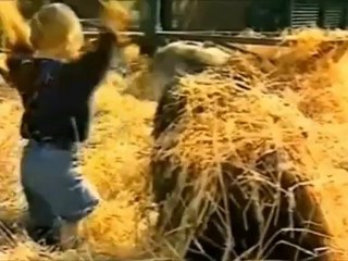 Трогательная дружба мальчика и гориллы