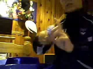 l-drago destructor V.S rey bull