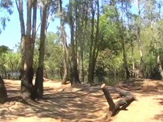 Explore Litchfield National Park 🌿