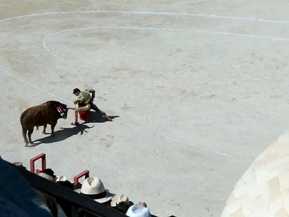 José Tomas à son 6e  Nîmes 16/09/2012