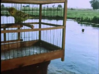 Θανάση πάρε τ' όπλο σου - Μέρος Β'