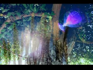 Je vabei tumi sokal dekho