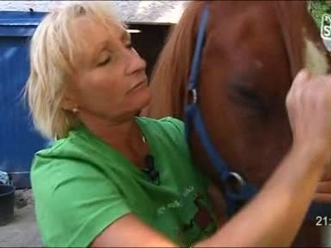 Territoire au Haras de Font Divie - Marguerittes (Partie 2)