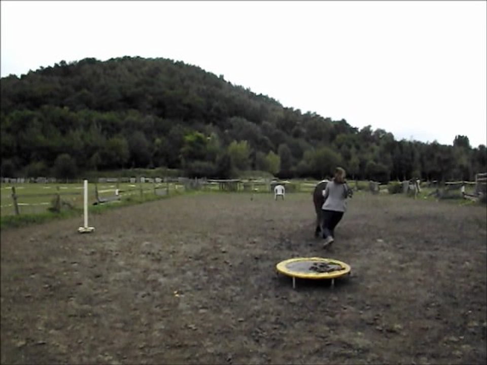 travail longues renes