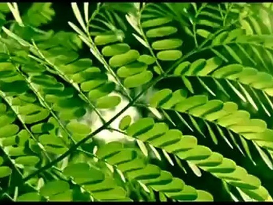 India in Luxury with Tempo Holidays