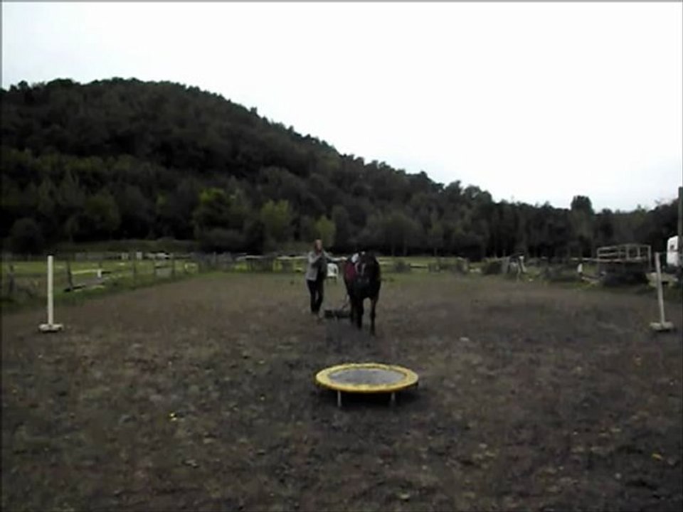 attelage pneu