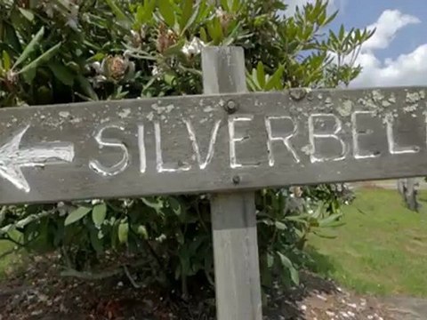 Cataloochee Ranch - Horse Farm - Vacation Rental - Smoky Mountain Log Cabin - B&B - Inn - Hotel Accommodations