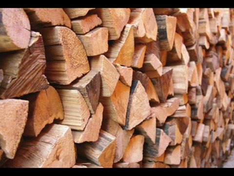 135€ τόνος Καυσόξυλα Ξύλα Κηφισιά Μαρούσι Μελίσσια Βριλήσσια Εκάλη Δροσιά Διόνυσος Γέρακας Άνοιξη Ανθούσα Άγιος Στέφανος Κάντζα Μεταμόρφωση Νέο Ηράκλειο Νέα Ιωνία Νέα Φιλαδέλφεια Πεντέλη Ντράφι Λυκόβρυση Κρυονέρι Διώνη Γαλάτσι Μεταμόρφωση Αγία Παρασκευή