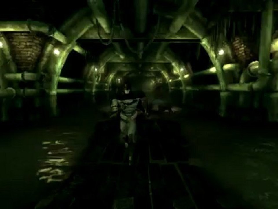 PC - Batman Arkham Asylum - 11