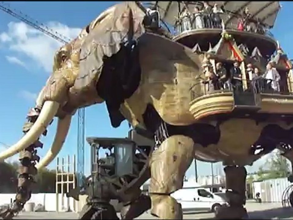 été 2012 - mer et animaux extraordinaires