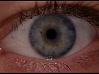 Seeing Is Not Believing