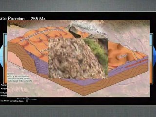2008 Historia geológica del Pirineo, Cursos Verano