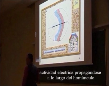Audicion Humana - Crisis motoras y alucinaciones sensoriales - Prof Manuel Lafarga