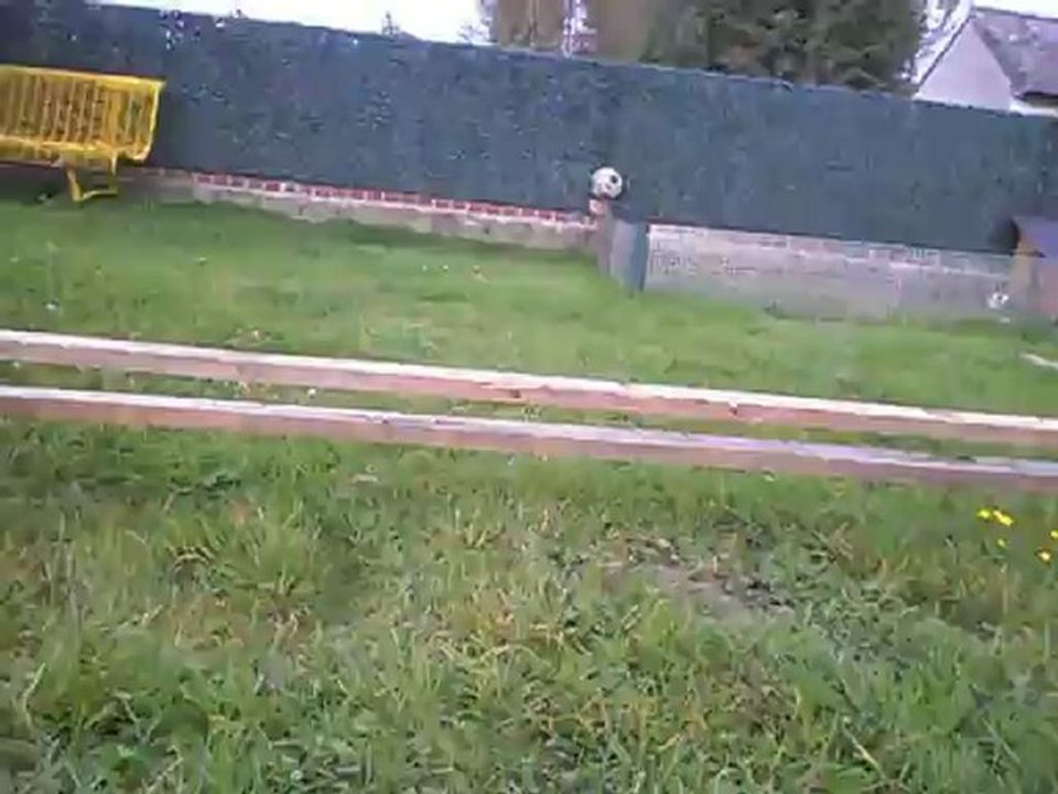Lotus saut
