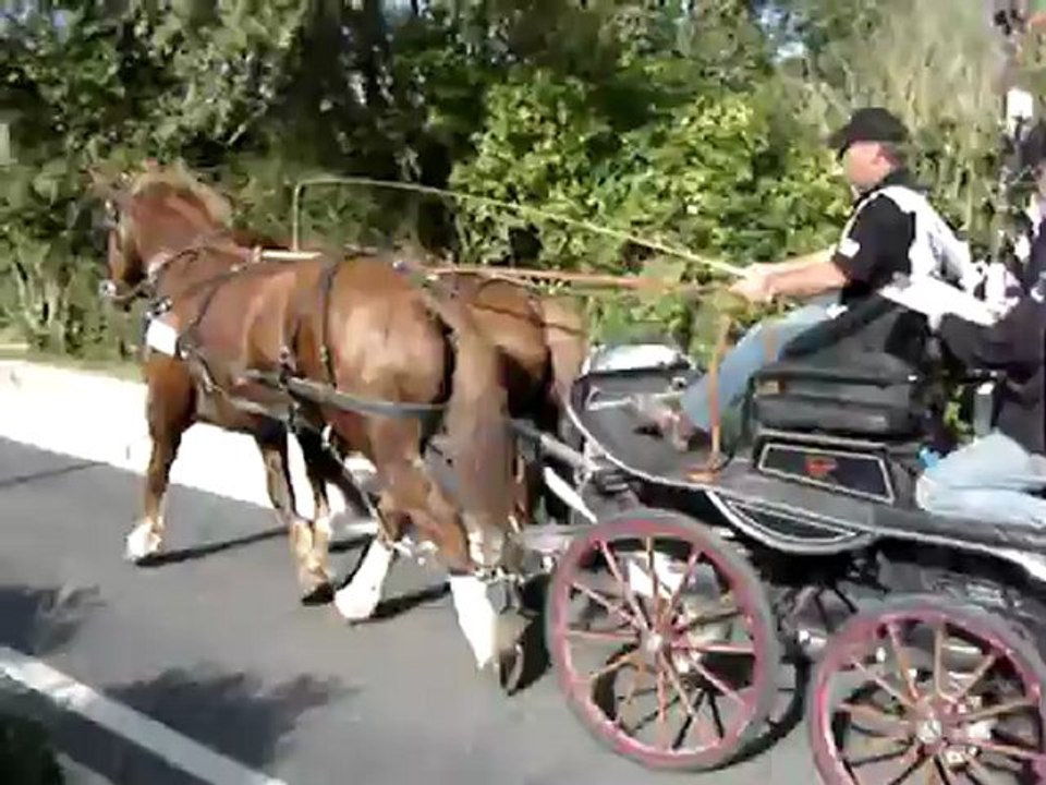 La route du poissons