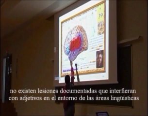 Lenguaje - Localizacion de los Adjetivos  - Prof Manuel Lafarga
