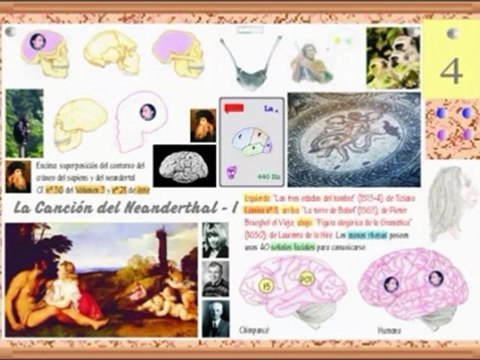 Neandertal - Hueso hioides - Prof Manuel Lafarga