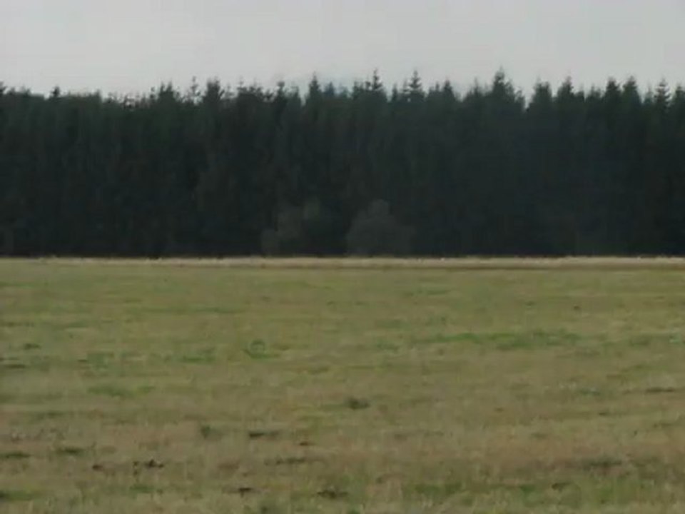 MVI_3697