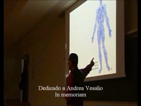 MLf - Vena cava. Andrea Vesalio, In memoriam - Prof Manuel Lafarga