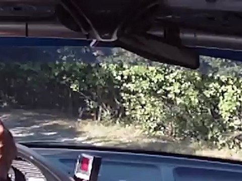 course de cote lauraguais 2012 bmw 318 f2/3