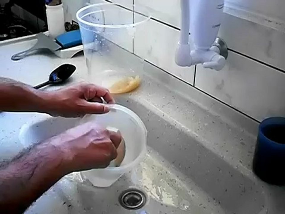 Kefir de água, Kefir ou Tibicos, Cogumelo Chines, PROVA! BAIXA COLESTEROL NOVO!!!