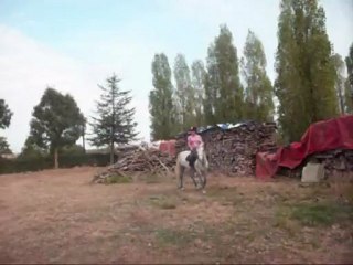 Qannelle ponette ONC typée conemara