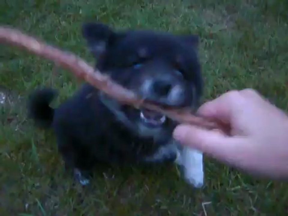 Heaven et son baton !