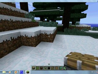 tué l'ender dragon dans minecraft