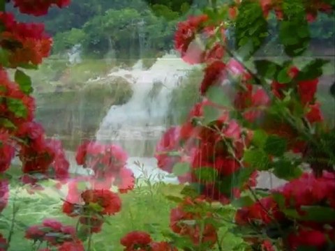 Musa Eroğlu - Halil İbrahim - [Yüksek Kalite]